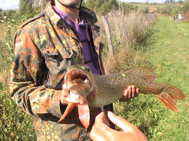 la rapitor - pic3751.JPG